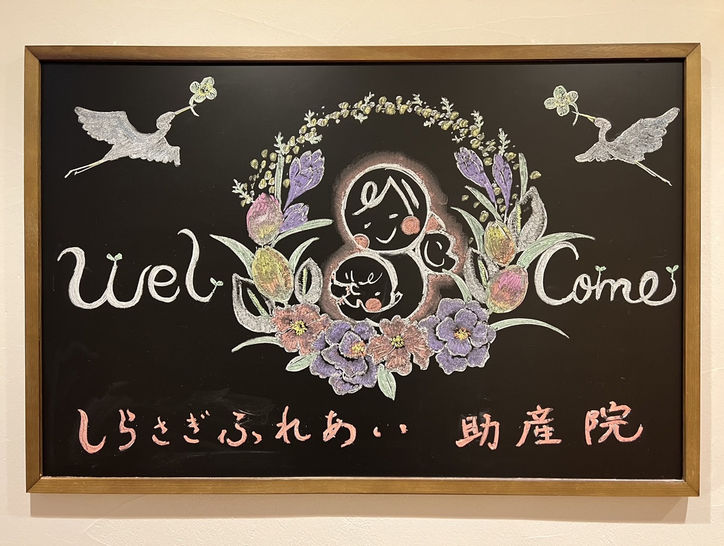 公式案内画像