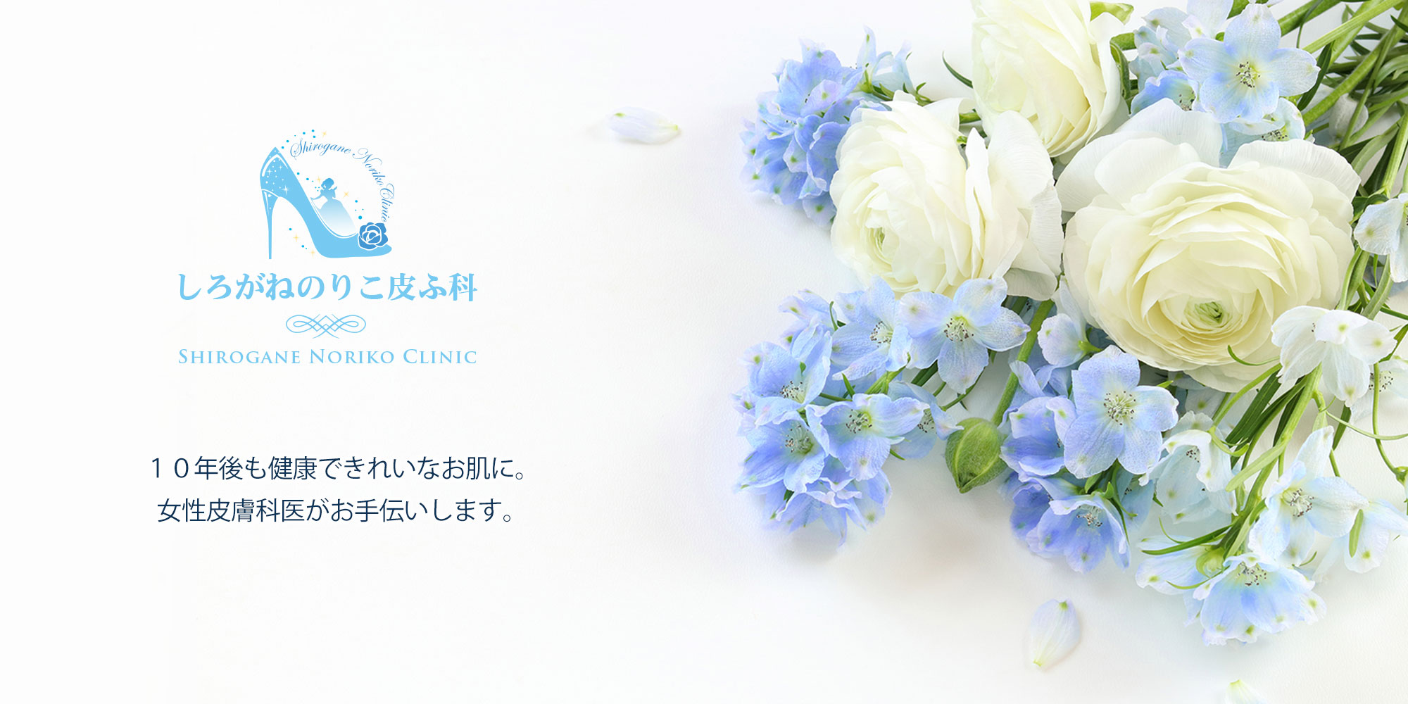 しろがねのりこ皮ふ科 の写真
