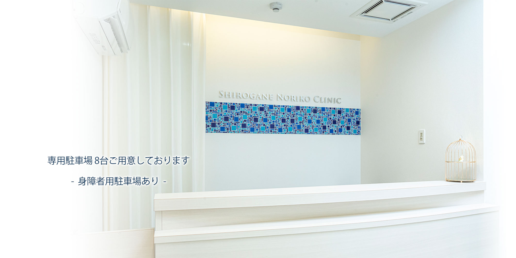 公式案内画像
