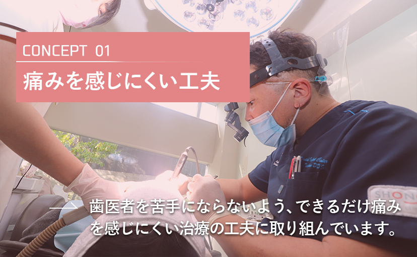 公式案内画像