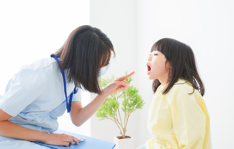 公式案内画像