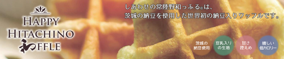公式案内画像
