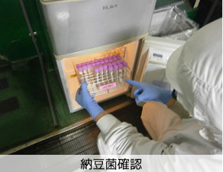 品質保証室の納豆菌確認