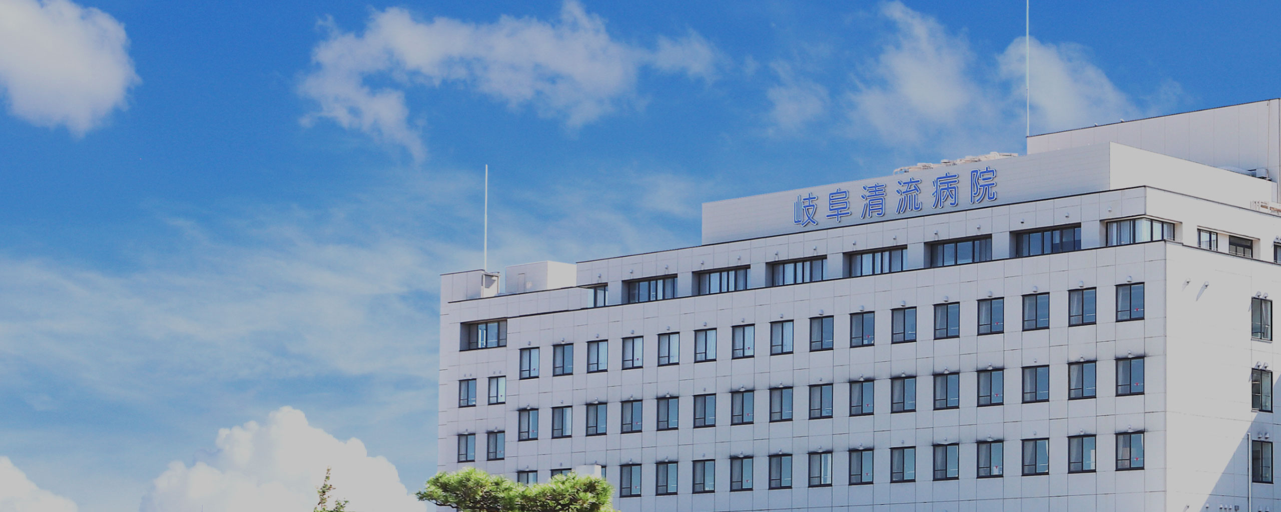 公式トップに掲載された、病院名サインの見える建物外観。
