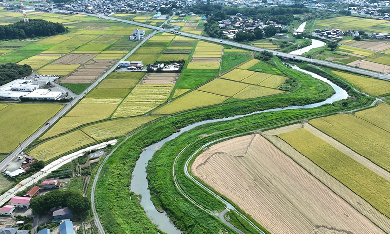 新城川