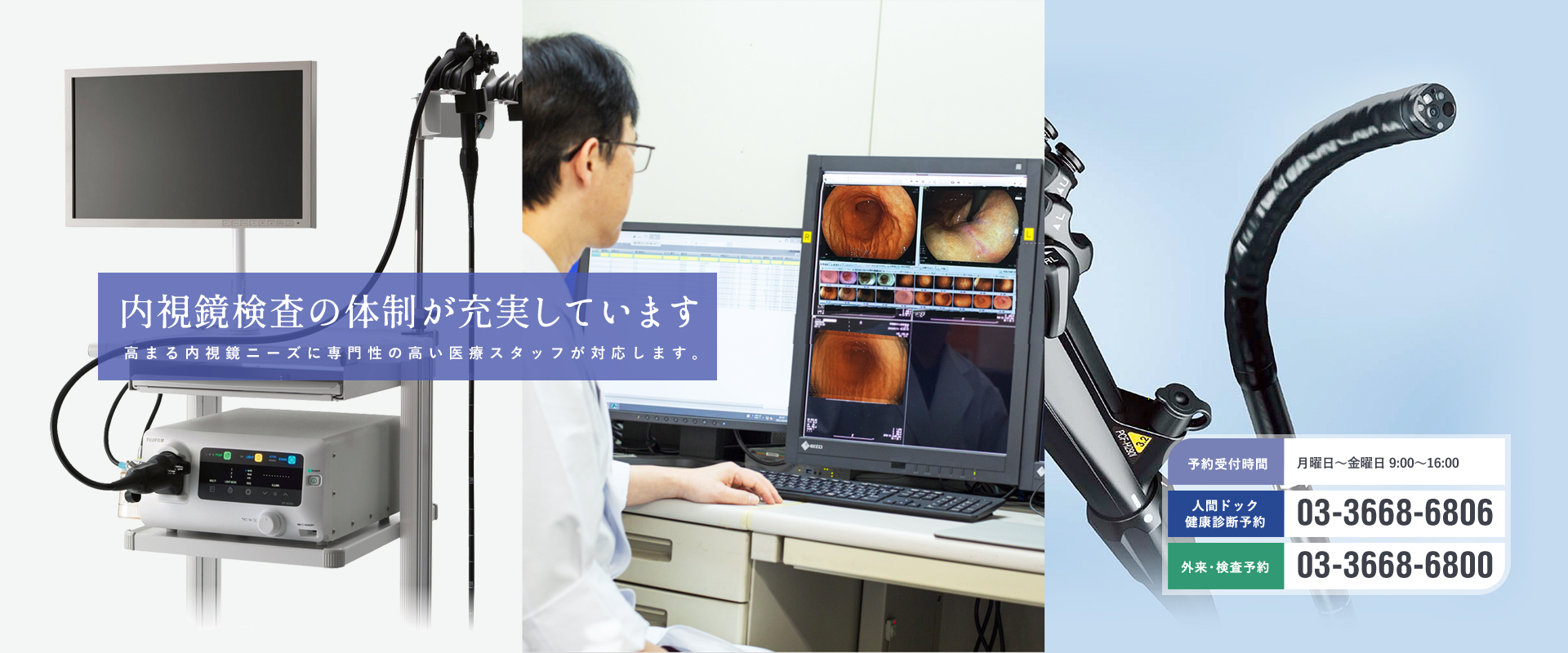 公式案内画像