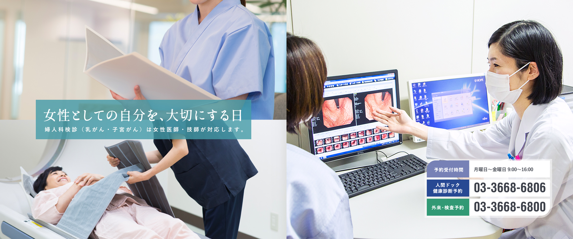 公式案内画像