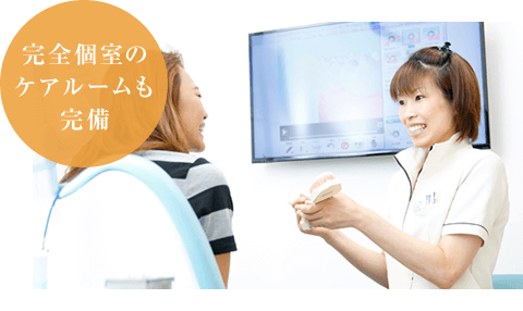 公式案内画像