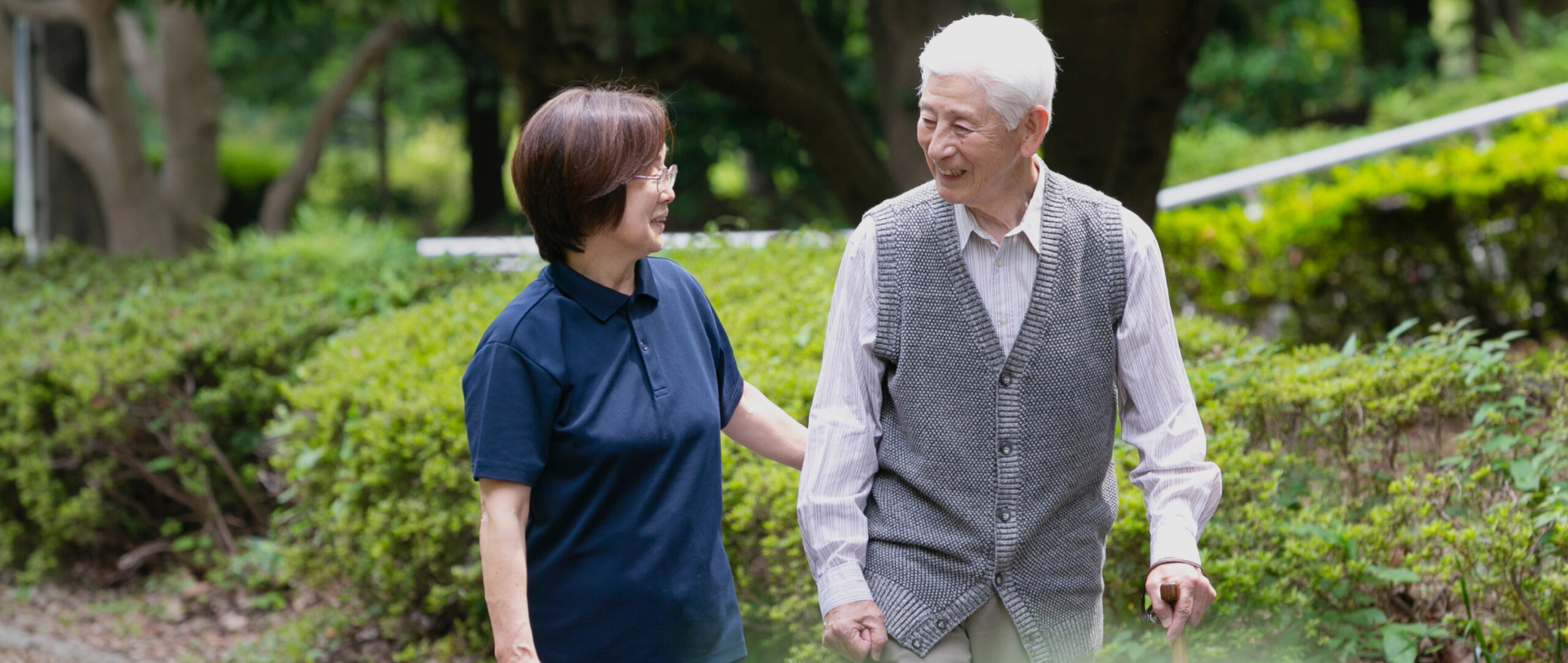 公式案内画像