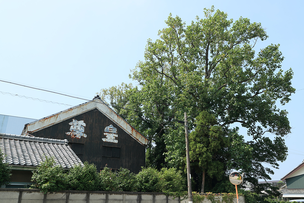公式「ごあいさつ」に掲載された尊皇蔵元の仕込蔵と大木