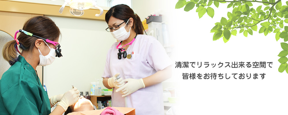公式案内画像