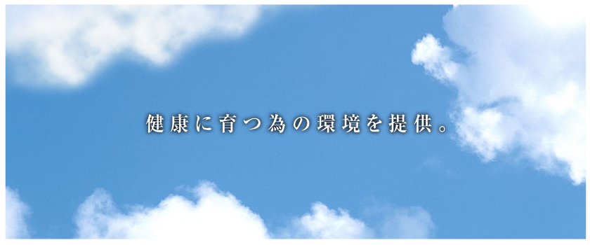 公式案内画像