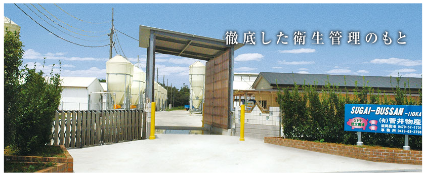 公式案内画像