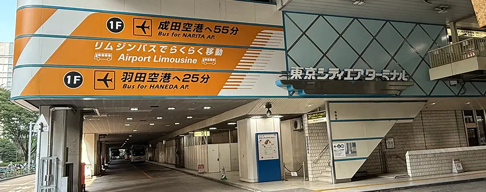 公式案内画像