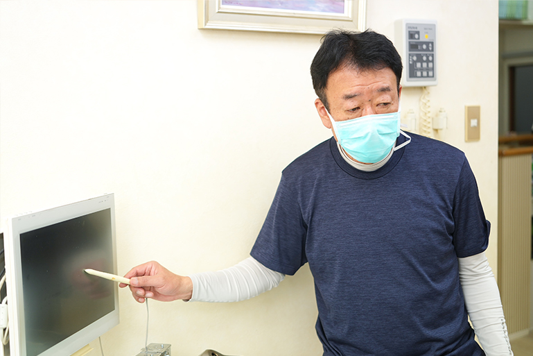 公式案内画像
