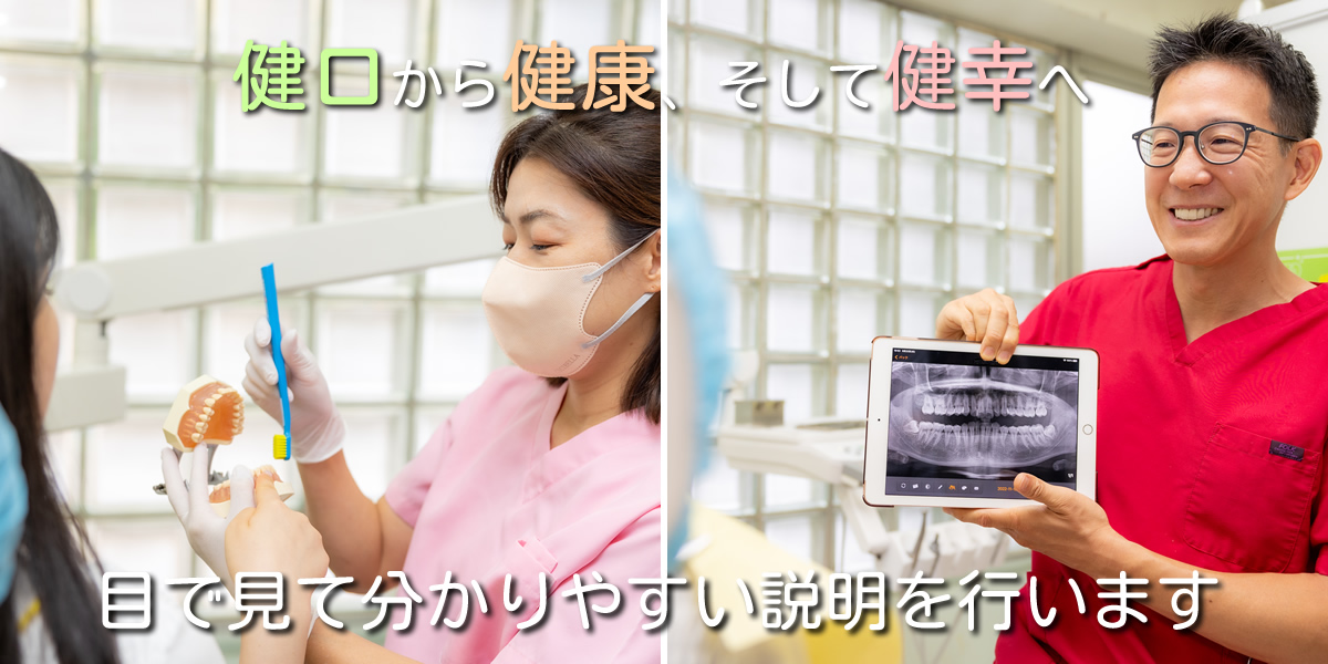 公式案内画像