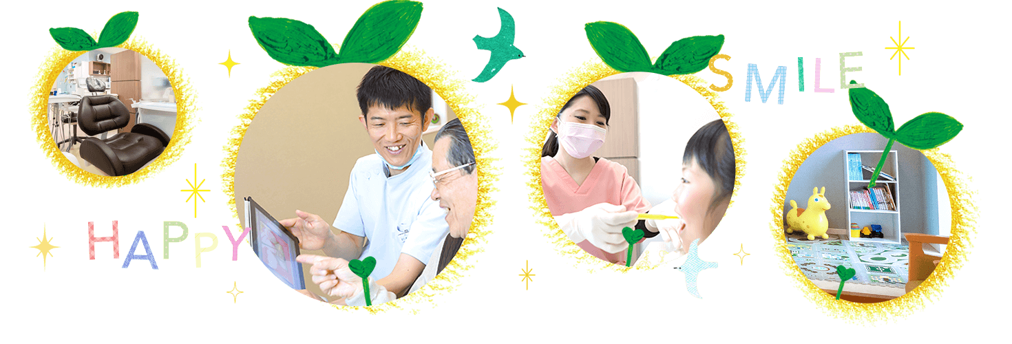 公式案内画像