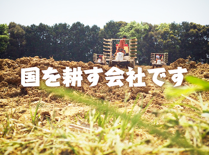 公式案内画像