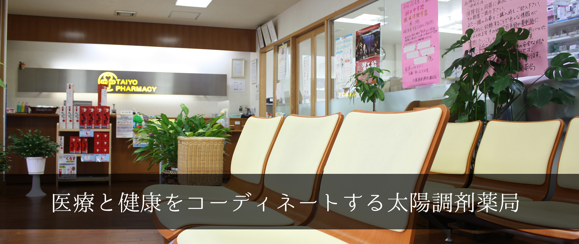 公式案内画像