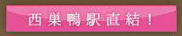 公式案内画像