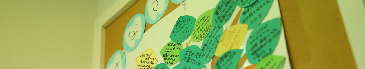 公式案内画像