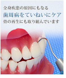 公式案内画像