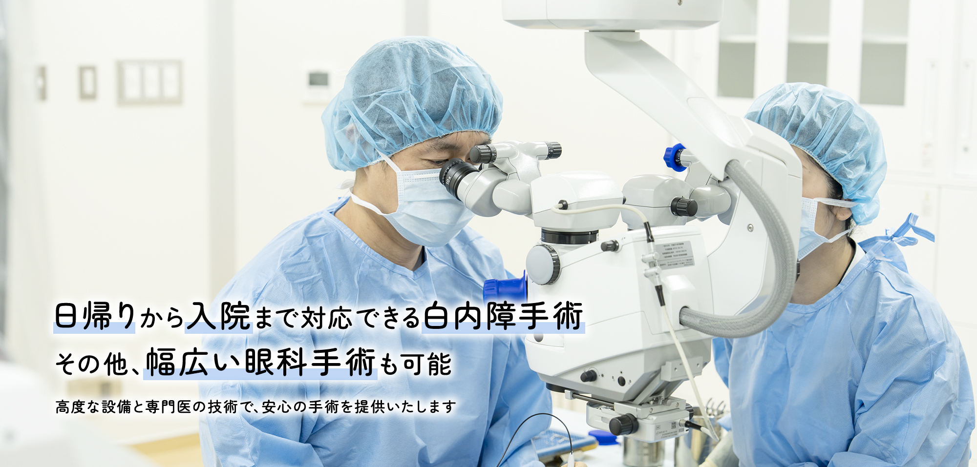 公式案内画像
