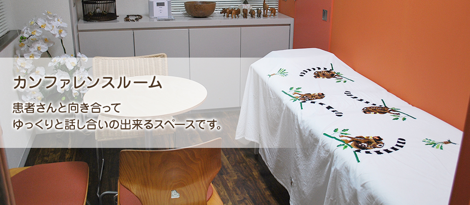公式案内画像