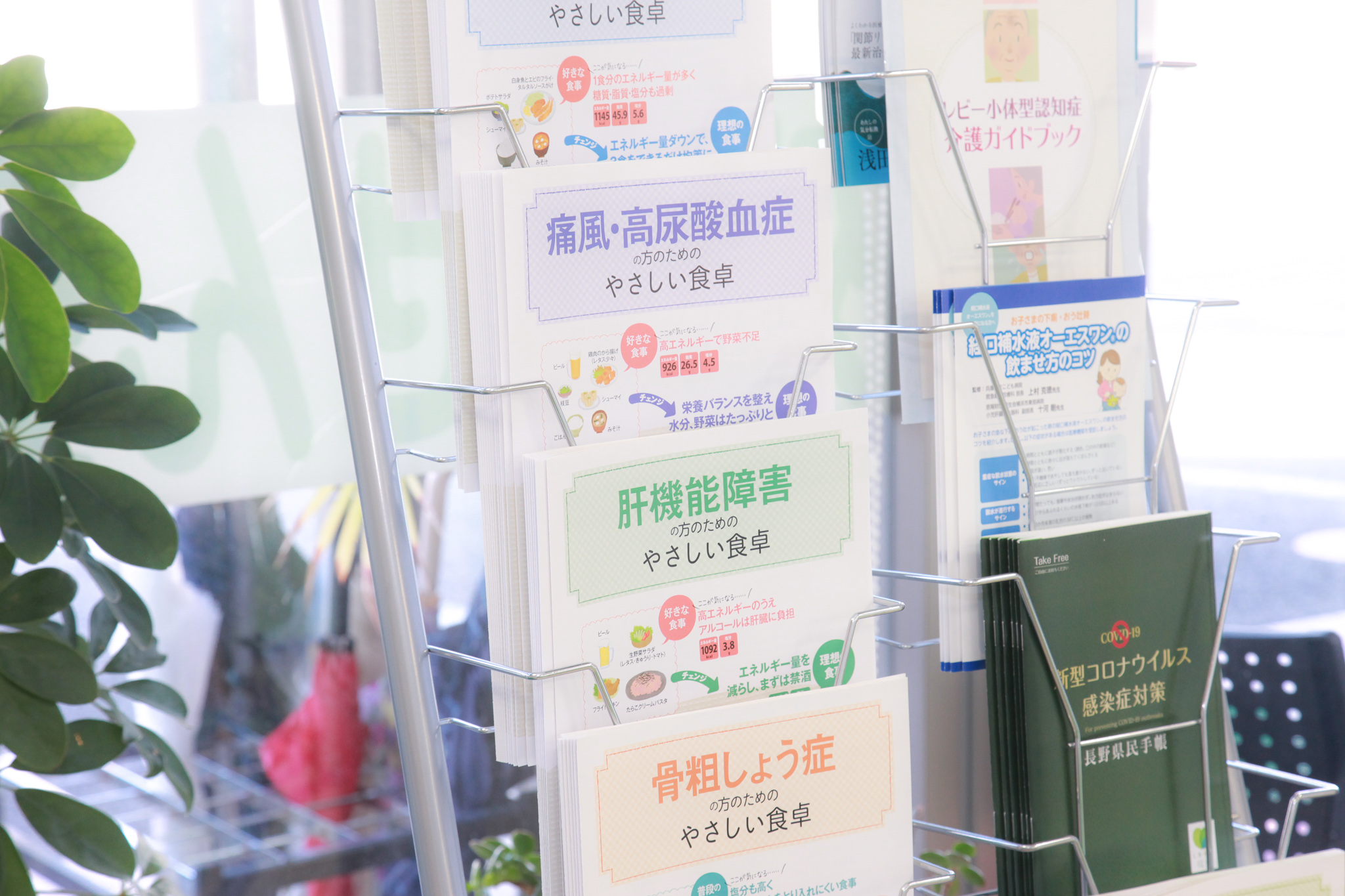 公式案内画像