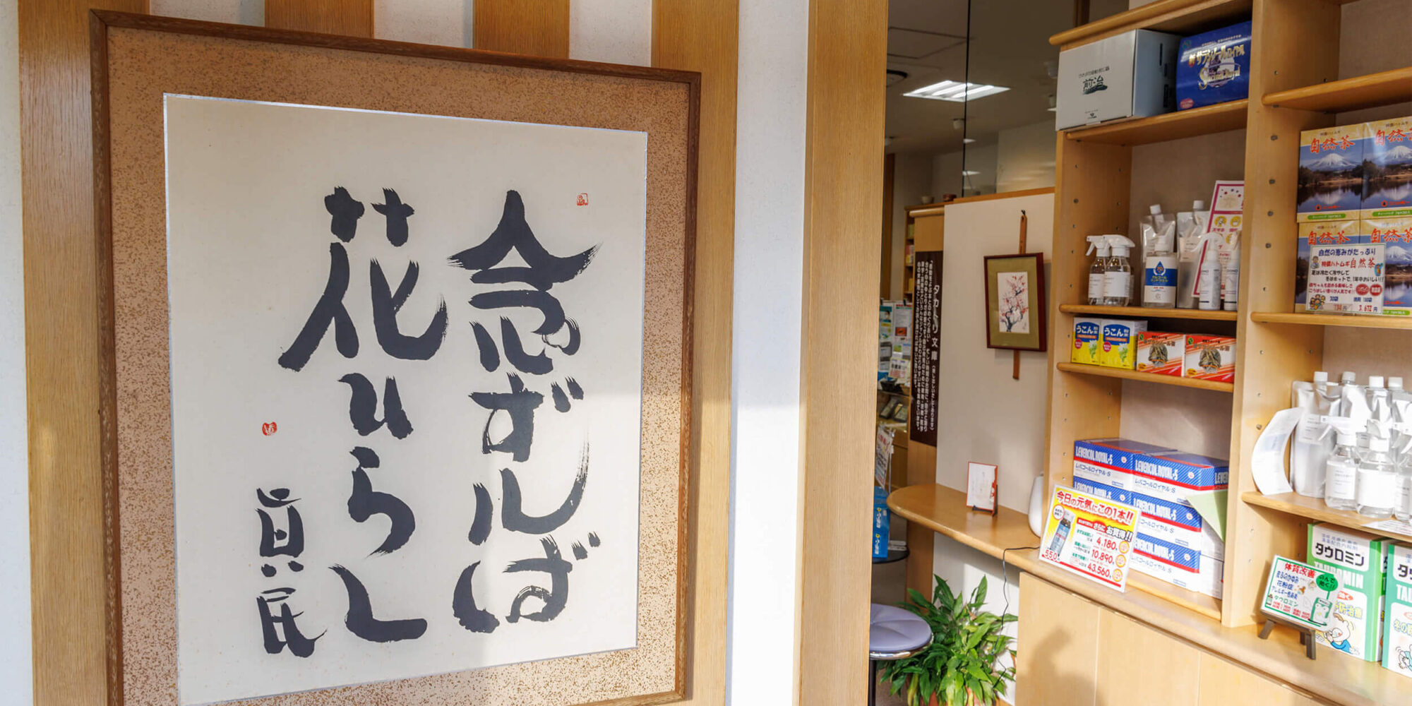 公式案内画像