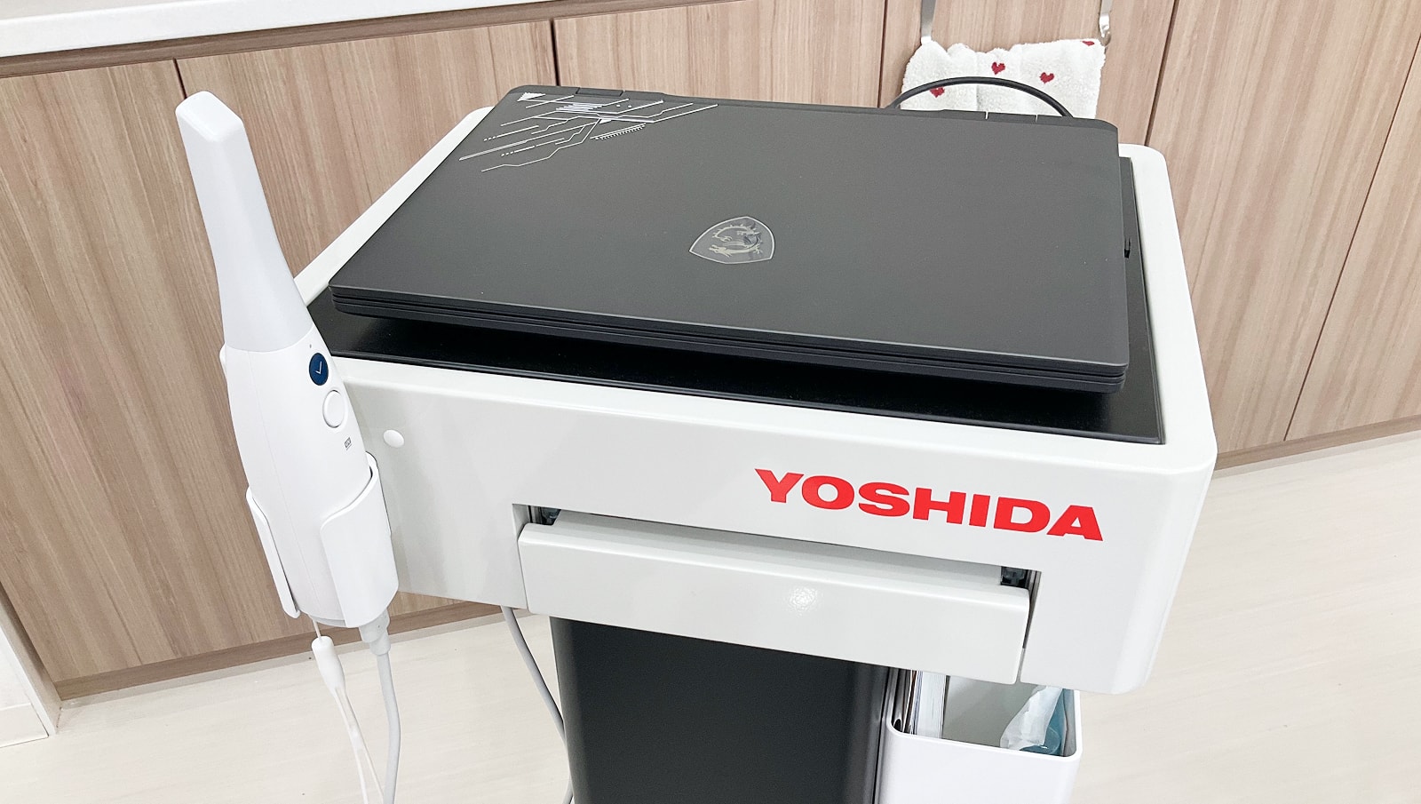 公式案内画像