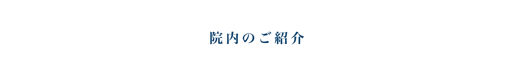 公式案内画像