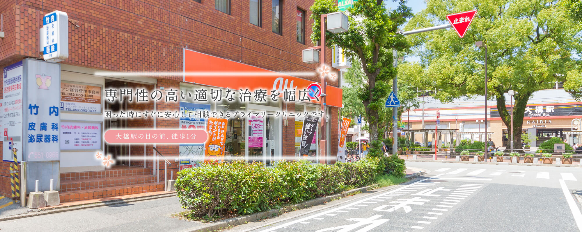 公式案内画像