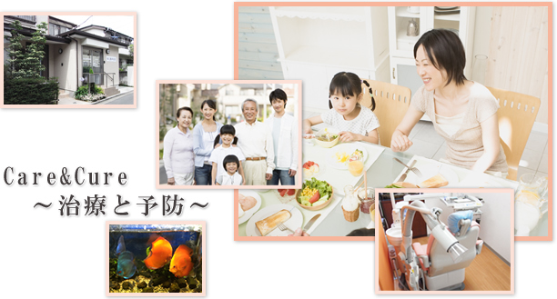 公式案内画像