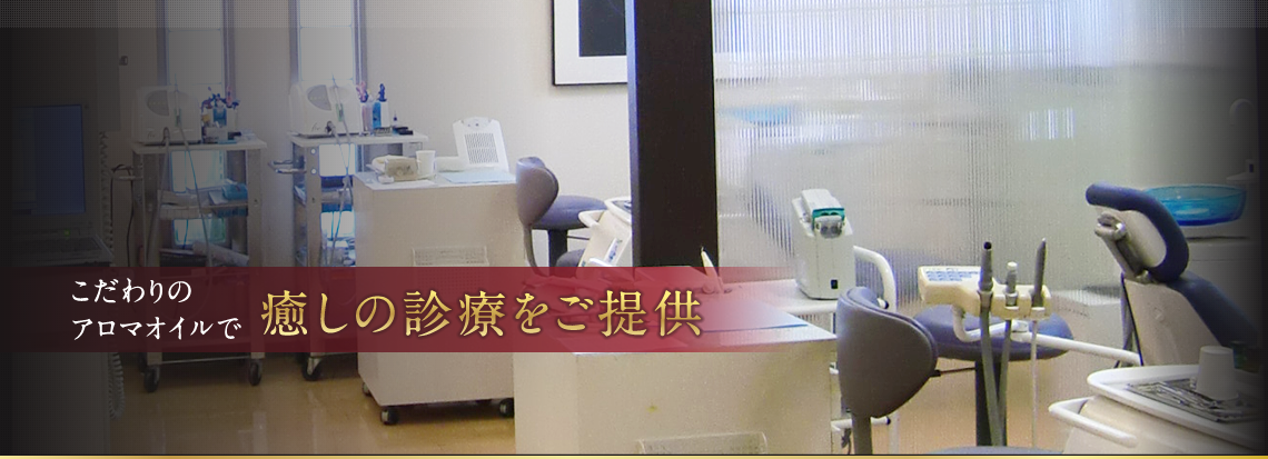 公式案内画像