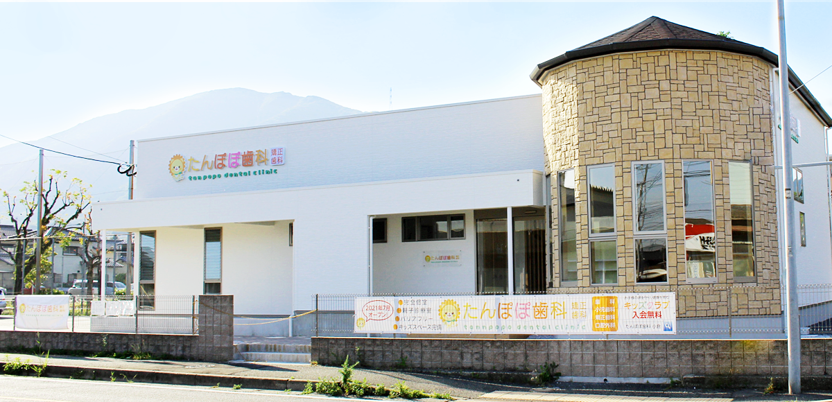 たんぽぽ歯科・矯正歯科 の写真