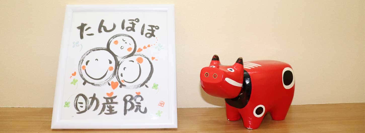 公式案内画像