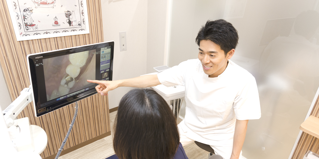 公式案内画像