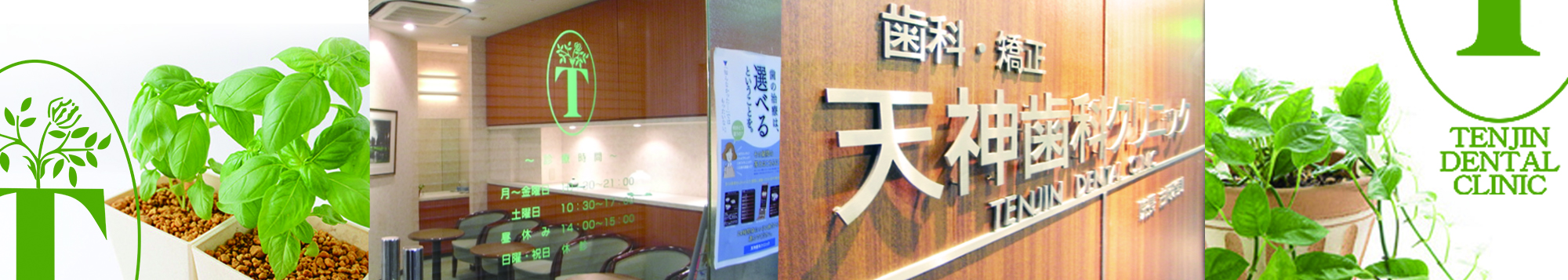 公式案内画像