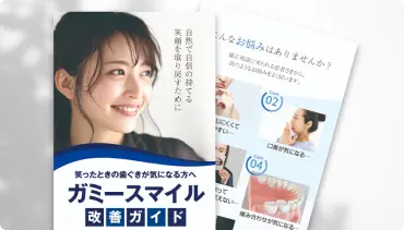 公式案内画像