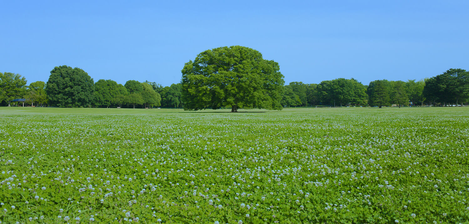 訪問看護ステーションてんゆう の写真