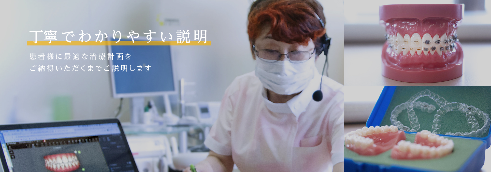 公式案内画像