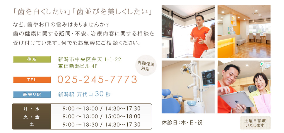 公式案内画像