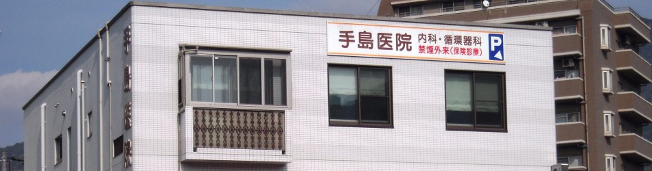 医療法人順典会　手島医院 の写真