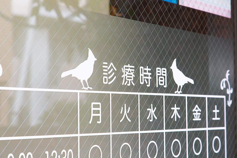 公式案内画像