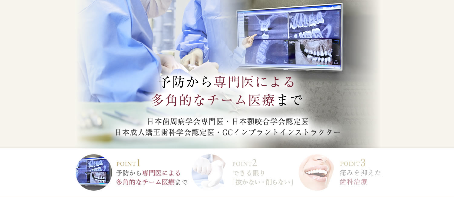 公式案内画像