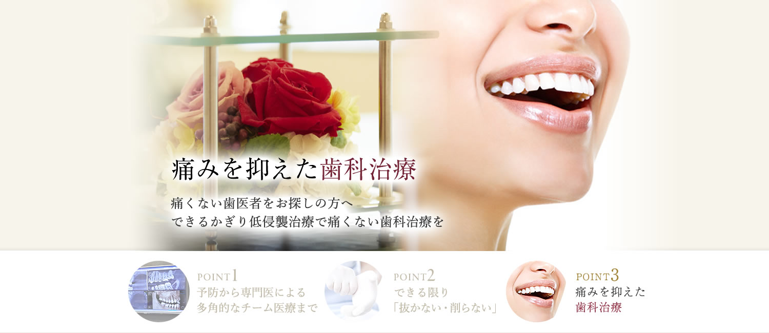 公式案内画像
