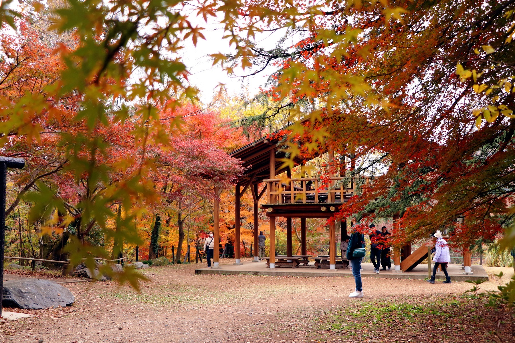 嵐山町 の写真