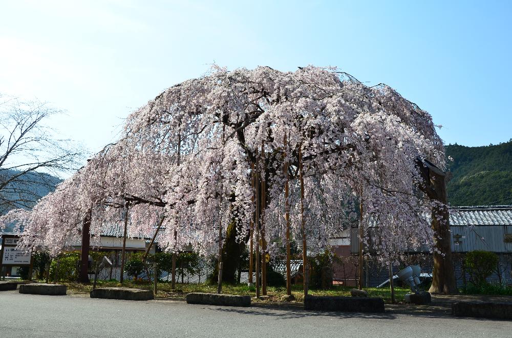 大紀町 の写真