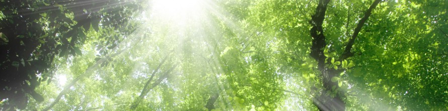 医療法人啓仁会　訪問看護ステーション　豊川さくら の写真